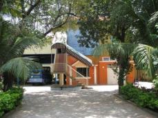 2010-01-January_NFC_Newsletter