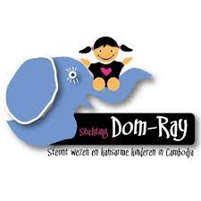 Stichting Dom-ray